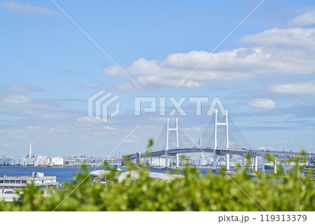 港の見える丘公園から望む横浜ベイブリッジ 119313379