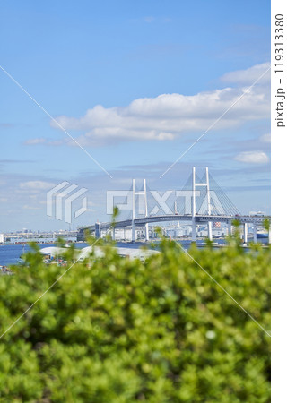 港の見える丘公園から望む横浜ベイブリッジ 119313380