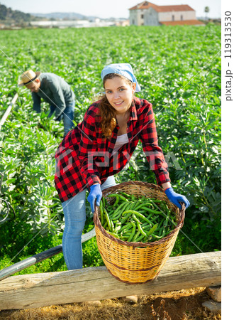 Portrait of female farmer holding basket with soybean Portrait of female farmer holding basket with soybean 119313530