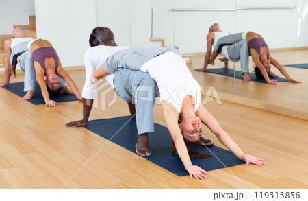 Women and men exercising assisted yoga poses in pairs 119313856