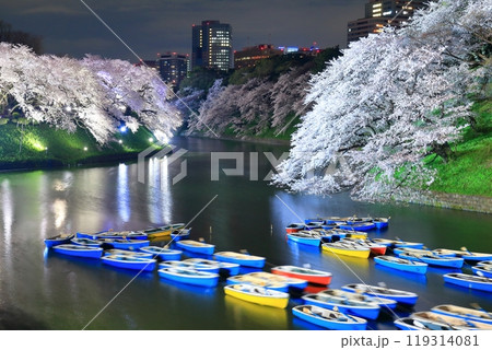 【東京都】千鳥ヶ淵の夜桜とレンタルボート 119314081