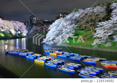 【東京都】千鳥ヶ淵の夜桜とレンタルボート 119314082