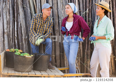 Three hardworking farmers, communicate during the break 119314208