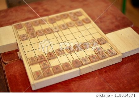 将棋 119314371