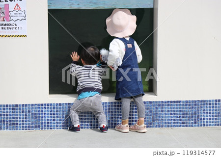 熊本　天草　水族館　海中水族館シードーナツ 119314577