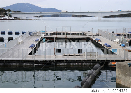 熊本 天草 水族館 海中水族館シードーナツ 熊本 天草 水族館 海中水族館シードーナツ 119314581