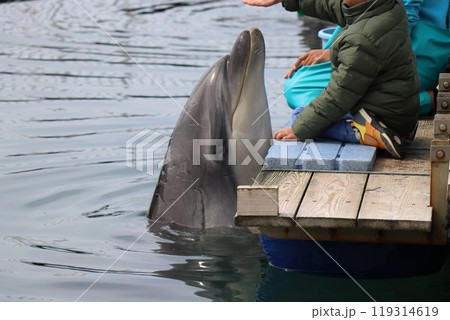 熊本　天草　水族館　海中水族館シードーナツ 119314619