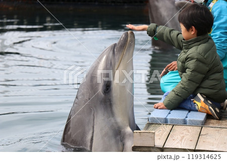 熊本　天草　水族館　海中水族館シードーナツ 119314625