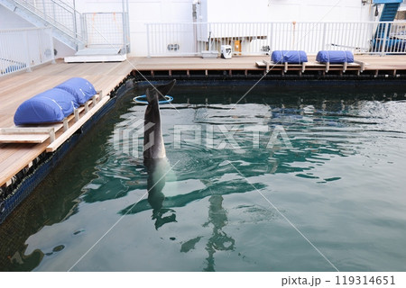 熊本　天草　水族館　海中水族館シードーナツ 119314651