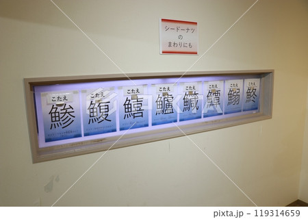 熊本　天草　水族館　海中水族館シードーナツ 119314659