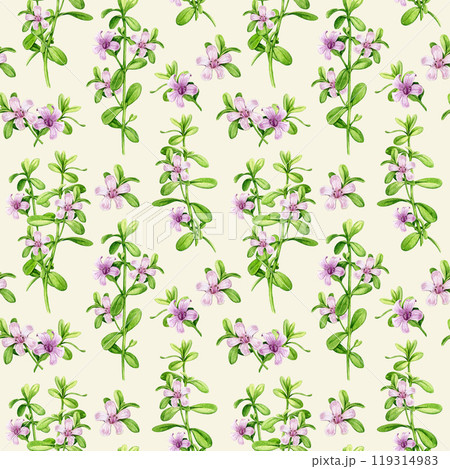 Bacopa medicinal herb seamless pattern. Hand drawn Bacopa monnieri adaptogenic herb watercolor botanical illustration. Brahmi herb ayurveda medicine seamless pattern design element Bacopa medicinal herb seamless pattern. Hand drawn Bacopa monnieri adaptogenic herb watercolor botanical illustration. Brahmi herb ayurveda medicine seamless pattern design element 119314983