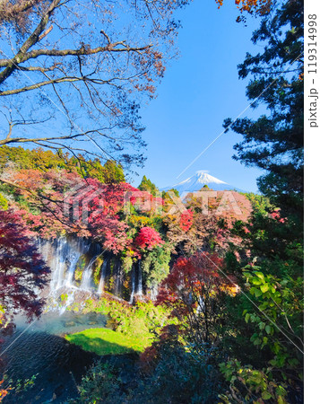 白糸の滝と富士山（秋） 119314998