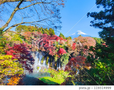 白糸の滝と富士山（秋） 119314999