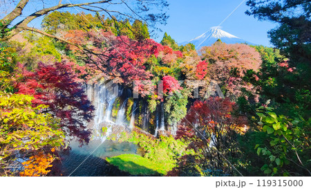白糸の滝と富士山(秋) 白糸の滝と富士山(秋) 119315000