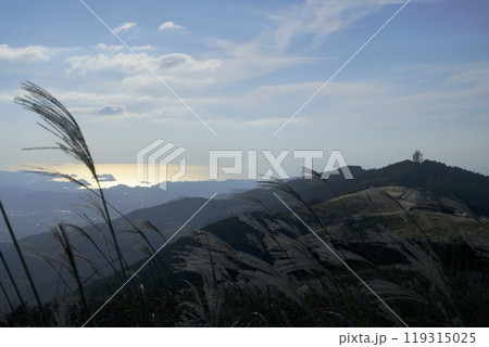 すすきが生い茂る生石高原から見下ろす湯浅町の海岸【10月】 すすきが生い茂る生石高原から見下ろす湯浅町の海岸【10月】 119315025