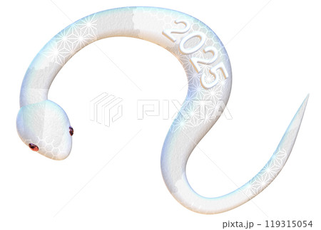 白蛇の3dイラスト　2025年 119315054