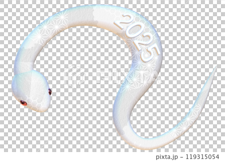白蛇の3dイラスト　2025年 119315054