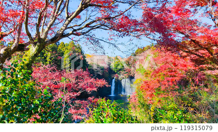 白糸の滝（秋）　[富士宮市] 119315079