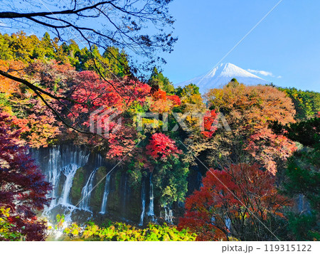 白糸の滝と富士山(秋) 白糸の滝と富士山(秋) 119315122