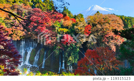 白糸の滝と富士山(秋) 白糸の滝と富士山(秋) 119315123