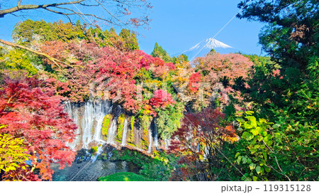 白糸の滝と富士山（秋）] 119315128