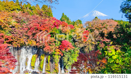 白糸の滝と富士山（秋） 119315131