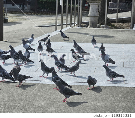 甚目寺観音　愛知県　あま市　甚目寺 119315331