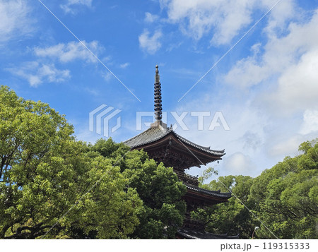 甚目寺観音 愛知県 あま市 甚目寺 甚目寺観音 愛知県 あま市 甚目寺 119315333