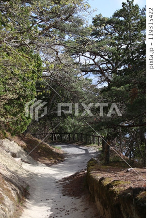 雄島の遊歩道 119315422
