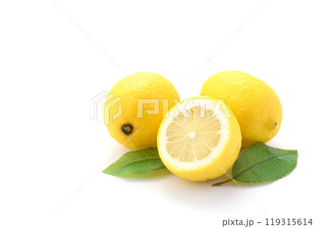 新鮮なレモン ( 白背景 ) 新鮮なレモン ( 白背景 ) 119315614