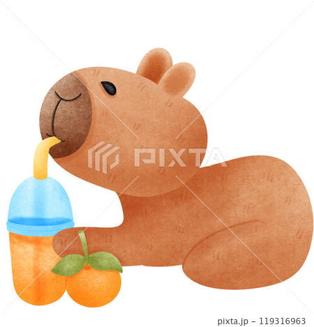 Capybara eats orange juice comfortably. 119316963