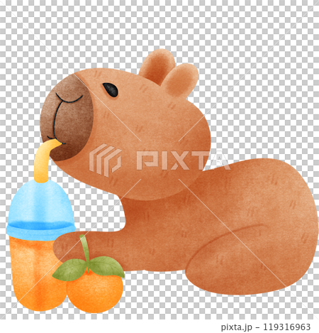 Capybara eats orange juice comfortably. 119316963