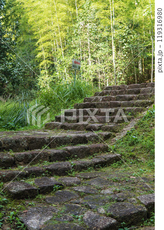 岐阜県中津川市「落合の石畳」入口の古い階段【国指定史跡】 岐阜県中津川市「落合の石畳」入口の古い階段【国指定史跡】 119316980