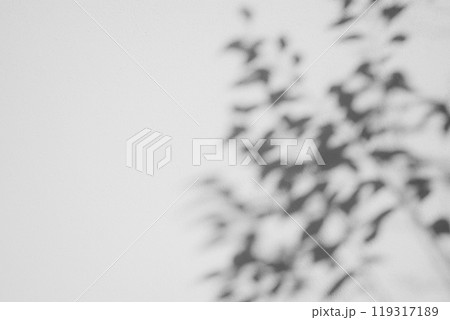 白壁に映る植物の影　a-3-2 モノクロ 119317189