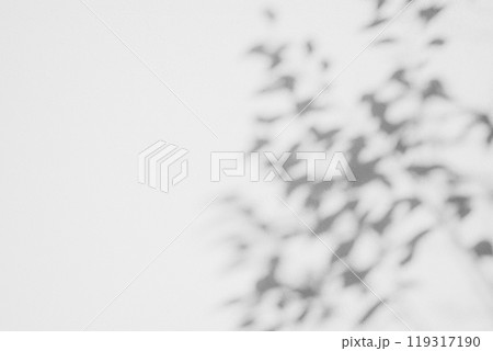 白壁に映る植物の影 a-3-3 モノクロ 明るめ 白壁に映る植物の影 a-3-3 モノクロ 明るめ 119317190