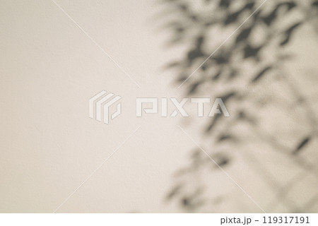 白壁に映る植物の影　b-1-1 暖色 暗め 119317191