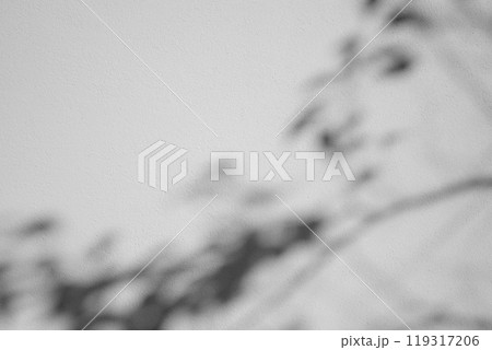 白壁に映る植物の影　c-3-1 モノクロ 暗め 119317206