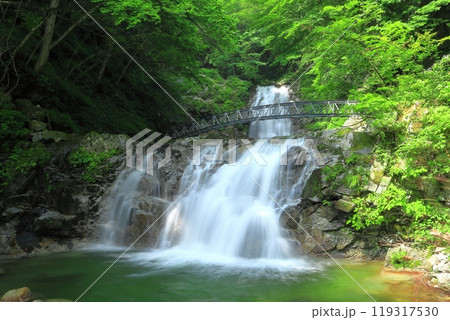 【山梨県】一の滝　二の滝（精進ヶ滝） 119317530