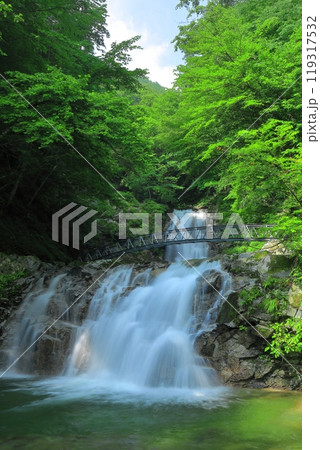 【山梨県】一の滝　二の滝（精進ヶ滝） 119317532