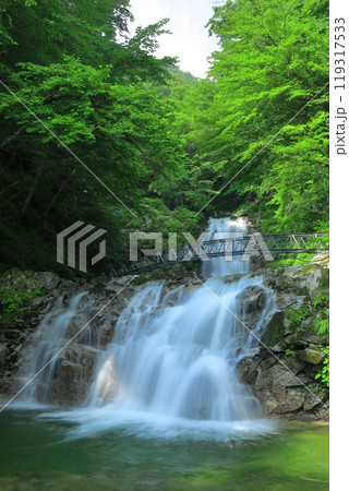 【山梨県】一の滝　二の滝（精進ヶ滝） 119317533