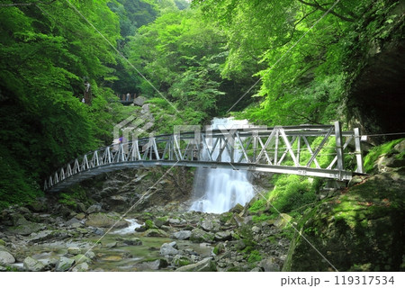 【山梨県】二の滝 初見の滝(精進ヶ滝) 【山梨県】二の滝 初見の滝(精進ヶ滝) 119317534