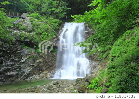 【山梨県】二の滝　初見の滝（精進ヶ滝） 119317535