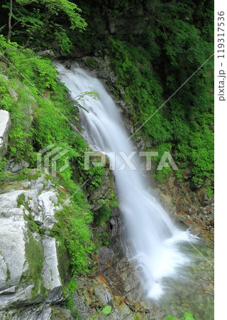 【山梨県】二の滝　初見の滝（精進ヶ滝） 119317536