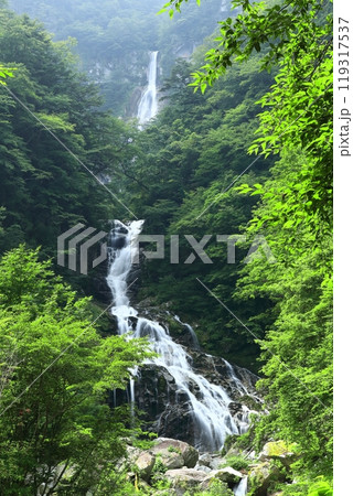 【山梨県】新緑の精進ヶ滝 119317537