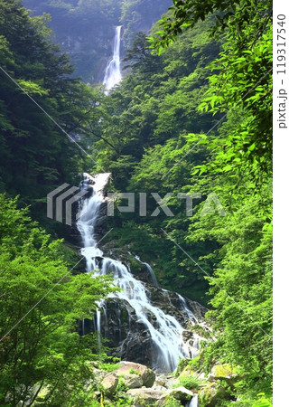 【山梨県】新緑の精進ヶ滝 【山梨県】新緑の精進ヶ滝 119317540