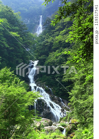 【山梨県】新緑の精進ヶ滝 119317541