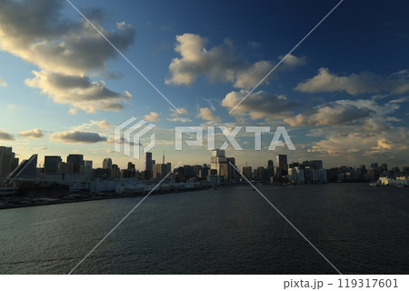 レインボーブリッジから見える東京湾とビル群　夕景・夜景 119317601