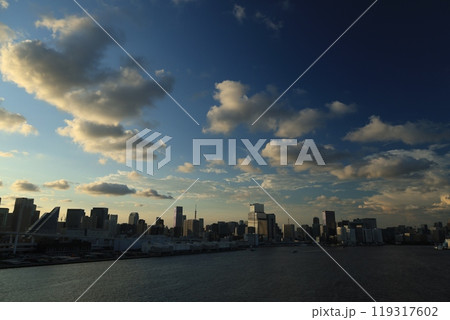 レインボーブリッジから見える東京湾とビル群　夕景・夜景 119317602