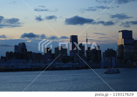 レインボーブリッジから見える東京湾とビル群　夕景・夜景 119317629