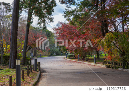 京都府立植物園の紅葉  119317728